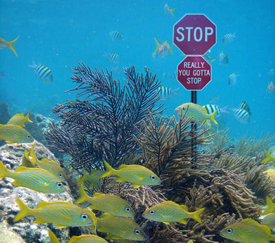 Stop Sign under water with coral reef and fish swiming