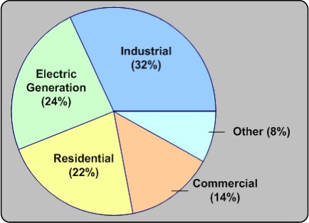 Break-out of natural gas use by consuming sector; pie chart