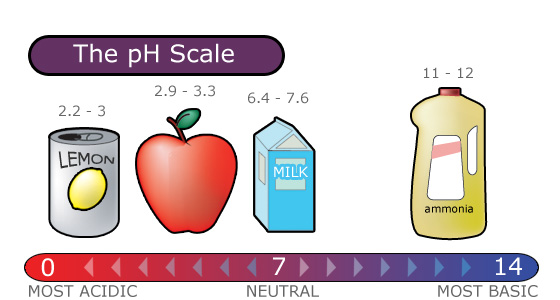 Ph Scale Chart With Examples