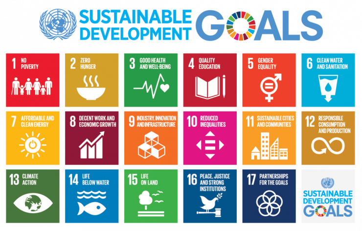 United Nations Seventeen Sustainable Development Goals. See caption for list.