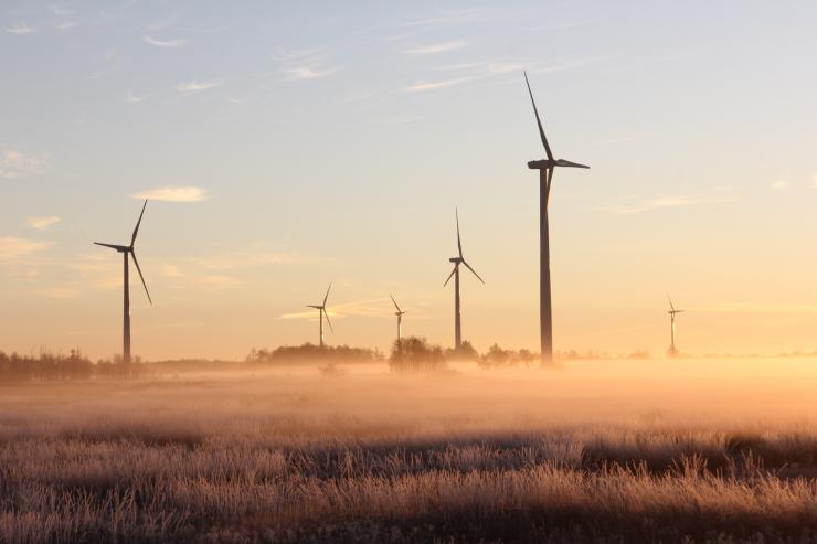 A field of windmills at sunrise