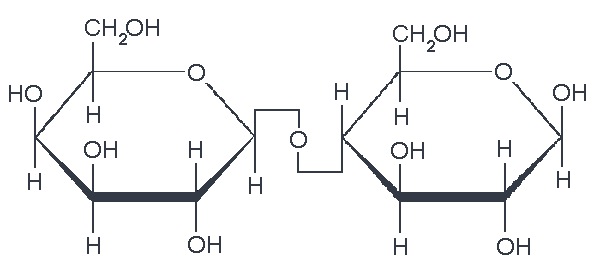  Lactose (galactose + glucose) 