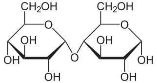 Estructura química de maltosa (glucosa + glucosa)