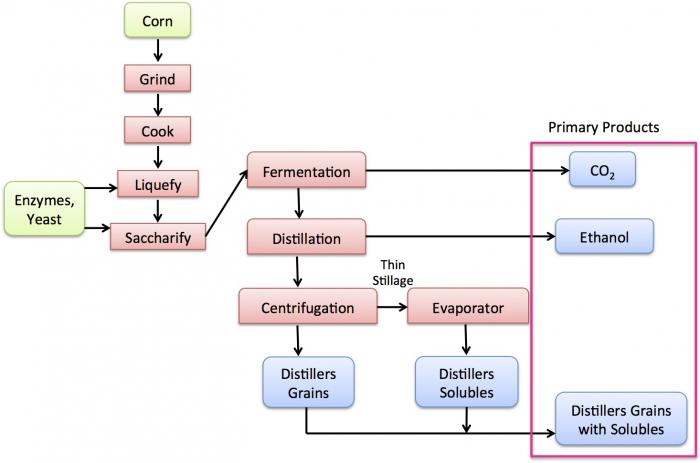 diagram of the dry grind ethanol process, see text description below