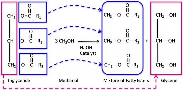 Los triglicéridos y metanol con el catalizador de NaOH producen videntes grasos y clicerina