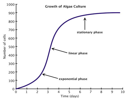 graph of growth of algae culture-Shaped like an “S” with an early exponential phase followed by a linear phase & finally a stationary phase