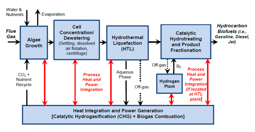 Schematic for hydrothermal liquefaction of algae for production of liquid fuels, see text description belowt