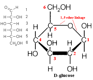 Glucose structure with carbons numbered.