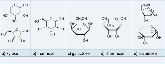 monomomer units and their chemical structures: xylose, mannose, galactose, rhamnose, and arabinose, 