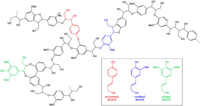 Chemical structures for varieties of lignin