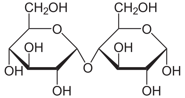 Cellobiose, or maltose (glucose + glucose) chemical structure