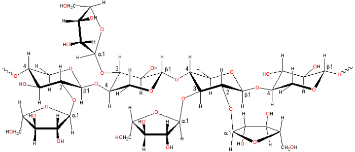Example of polymers in hemicellulose (arabinoxylan)
