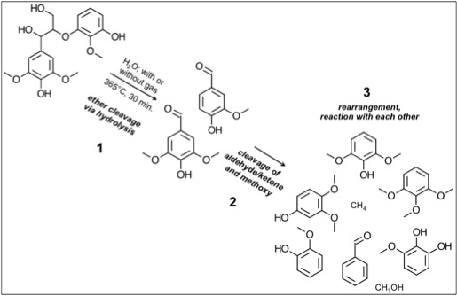 Schematic of the reaction of lignin in subcritical water, see image caption, contact instructor if you need more assistance