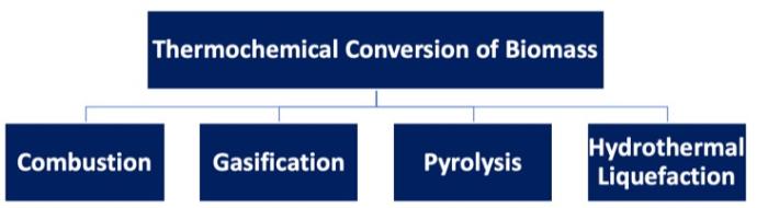 Thermal conversion of biomass can happen through combustion, gasification, pyrolysis or hydrothermal liquefaction \