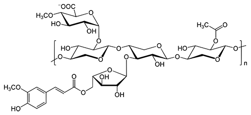 Example of polymers in hemicellulose (xylan)