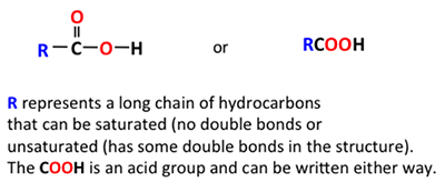 Átomo de carbono central unido por doble enlace a un átomo de oxígeno, & unido a un grupo OH y una cadena larga de hidrocarburos (designado R) Mano corta = RCOOH