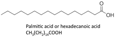 Ácido palmítrico CH3 (CH2) 14COOH, todos los enlaces simples de carbono a carbono