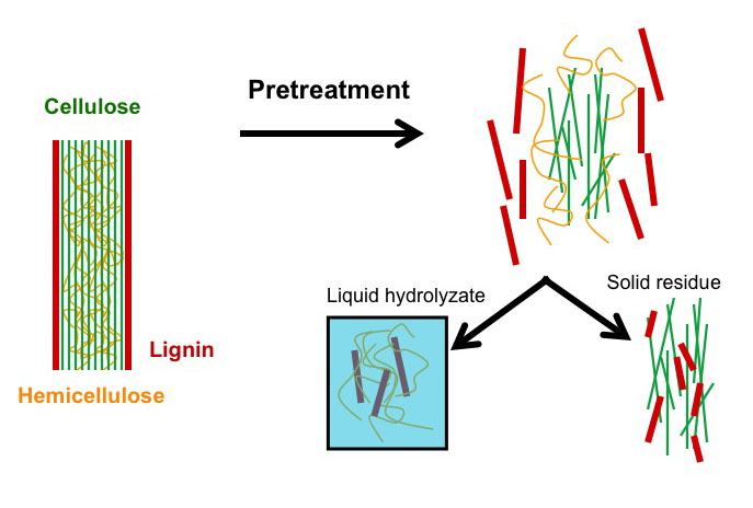 Diagrama de pretratamiento: la biomasa se rompe en hidrolizado líquido (lignina y hemicelulosa) y residuo sólido (lignina y celulosa)