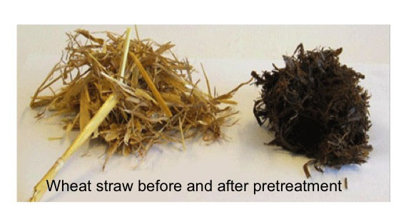  Pretreatment of wheat straw, before: volumous and yellow, after: compact and brown