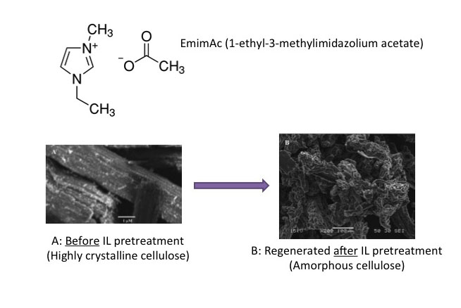 Estructura química EMIMAC y celulosa antes y después del pretratamiento IL. Antes: estructuras en forma de varilla. Después: blob like