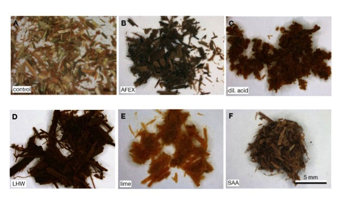 Resulting Switchgrass Solids after Different Pretreatment Technologies 