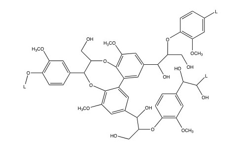  Chemical structure of lignin representative molecule, Alder model