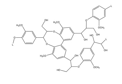 Estructura química de la molécula representativa de lignina, modelo Alder