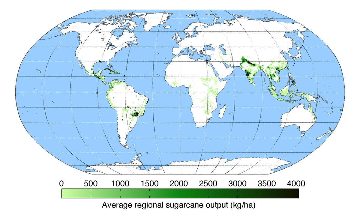 world map showing sugarcane production concentrated in central & South America, india & some in Africa, and Southern Asia