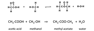 Reacción de ácido acético con metanol para formar acetato de metilo y agua.