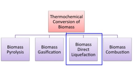 Graphic of the 4 methods of thermochemical conversion of biomass: pyrolysis, gasification, combustion & direct liquefaction (highlighted)