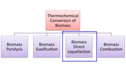 Gráfico de los 4 métodos de conversión termoquímica de biomasa: pirólisis, gasificación, combustión y licuefacción directa (resaltado)