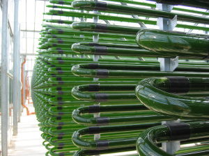 tubular design: Green hairpin pipes stacked in tall columns. Many rows