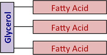 : Un diagrama genérico de aceites y grasas; se muestran tres ácidos grasos conectados al glicerol