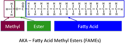 La estructura química del biodiesel típico, ácido graso de éster metílico o FAME. Metil + éster+ácido graso