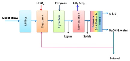 Un diagrama esquemático de la producción de acetona butanol etanol (ABE) ver descripción del texto a continuación