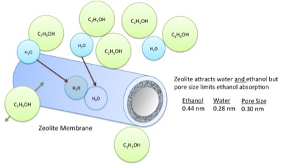 Diagram shows a zeolite membrane and says: Zeolite attracts water and ethanol but pore size limits ethanol absorption.