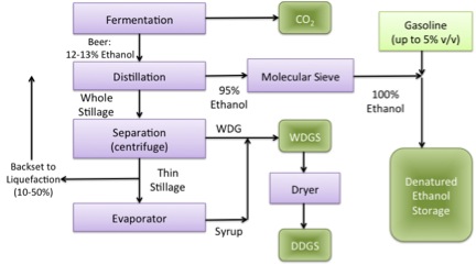 Product recovery diagram of ethanol and other products. See text description below