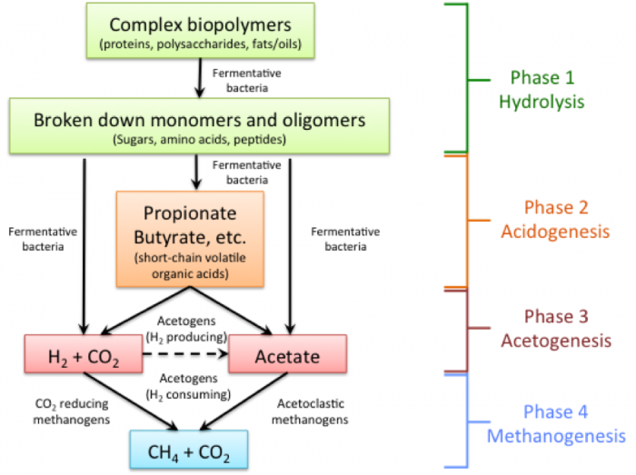 12.1 Anaerobic Digestion | EGEE 439: Alternative Fuels from Biomass Sources