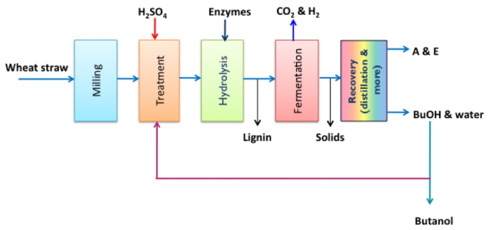 Wheat straw to milling to treatment to hydrolysis to fermentation to recovery to A&E and also BuOH and water to butanol. See link in caption for text description