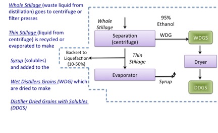 Product separation/recovery terminology as described in the text. See text description below