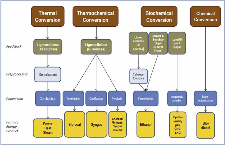 Bioenergy conversion technologies see text description below