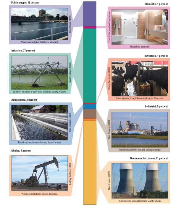 infographic of water use in different activity sectors.