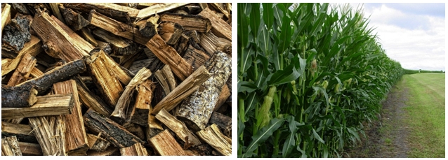 examples of biomass alternatives- wood chips and corn