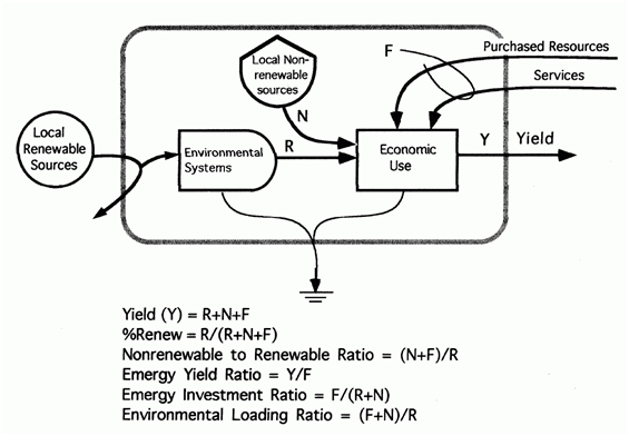 Emergy-based indices described in text below