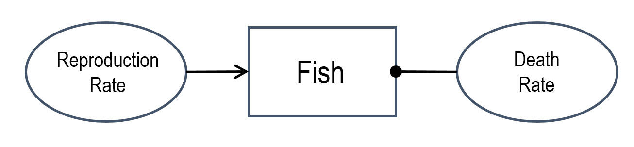 relationships in the system notation (reproduction rate, fish, death rate)