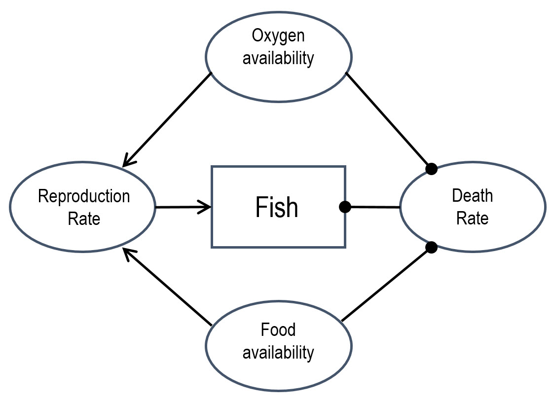 diagram (oxygen availability, reproduction rate, fish, death rate, food availability)