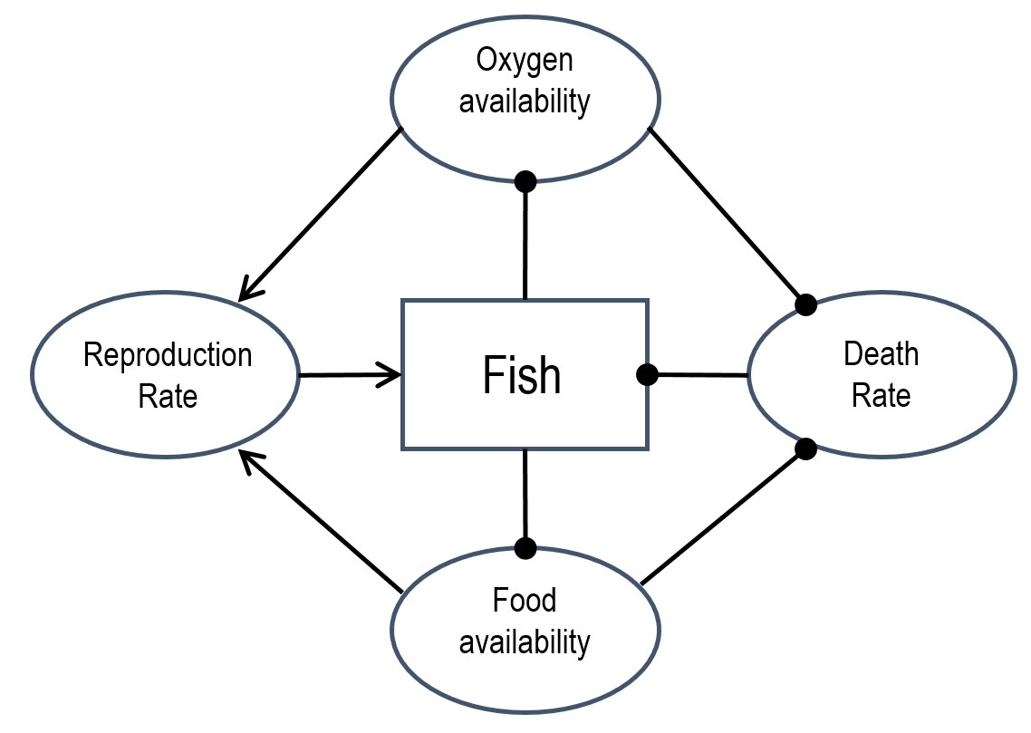 diagram (food availability, oxygen availability, fish, death rate, reproduction rate)