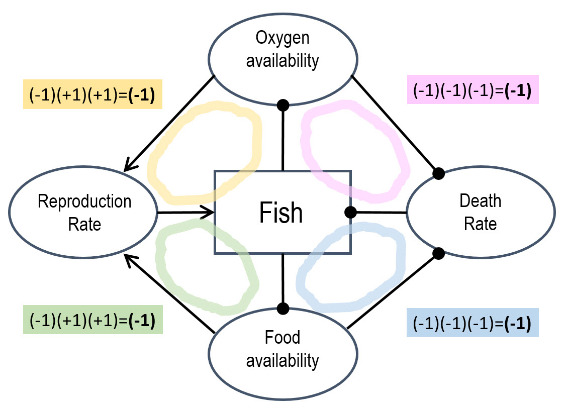 System diagram for Fish Pond system with four negative feedback loops 