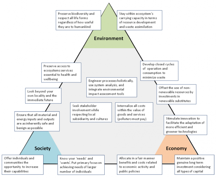 engineering sustainable development case study