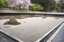 Rock garden (white, raked gravel with some placed larger rocks) at the Ryoan-ji Buddist temple in Japan.